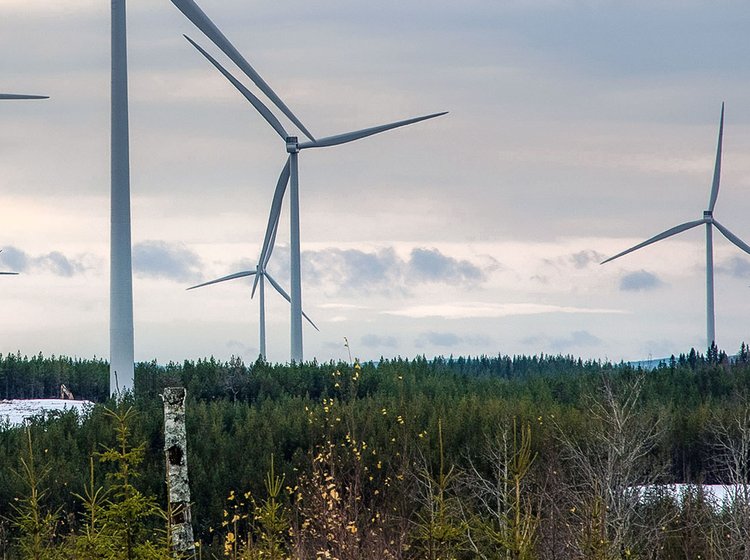 Eine Windparkanlage in der Natur die zu den Alternative Investments von Aquila Capital gehört.